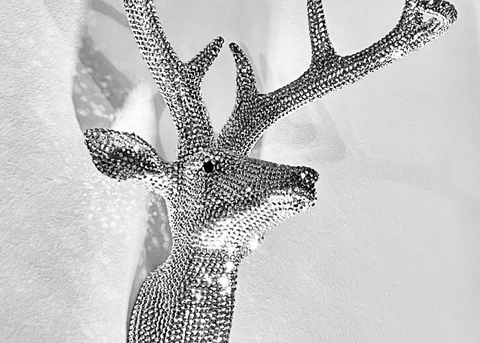 Andi's Skihotel Hotel Obertauern